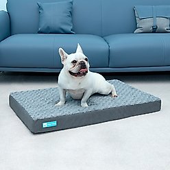 Cozy Tails Premium Orthopedic Memory Foam Dog Bed, Grey, Medium