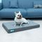Show in main carousel: Cozy Tails Premium Orthopedic Memory Foam Dog Bed, Grey, Medium slide 1 of 8