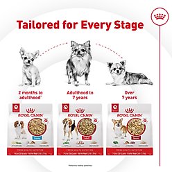 Royal Canin Fresh Health Nutrition Senior Dog Food, 14.1-oz pouch, pack of 7 slide 2 of 9