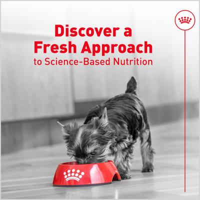 Show full view: Royal Canin Fresh Health Nutrition Puppy Dog Food, 8.8-oz pouch, pack of 7 slide 10 of 12