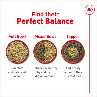 Show full view: Royal Canin Fresh Health Nutrition Senior Dog Food, 14.1-oz pouch, pack of 7 slide 6 of 12