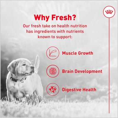 Show full view: Royal Canin Fresh Health Nutrition Puppy Dog Food, 8.8-oz pouch, pack of 7 slide 4 of 12