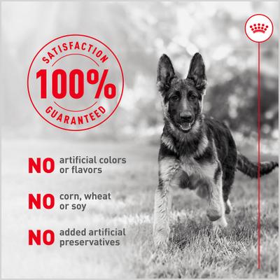 Show full view: Royal Canin Fresh Health Nutrition Puppy Dog Food, 8.8-oz pouch, pack of 7 slide 9 of 12