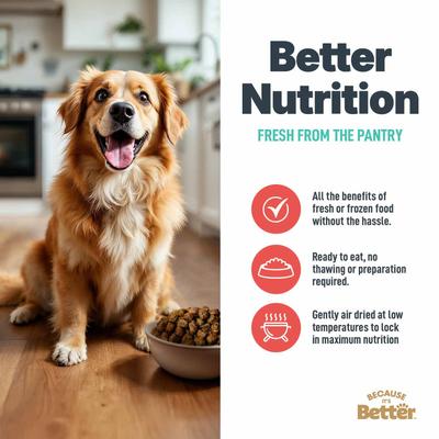 Show full view: Because It's Better Real Beef & Veggies Slow Baked & Air-Dried Dog Food, 3-lb bag slide 7 of 9