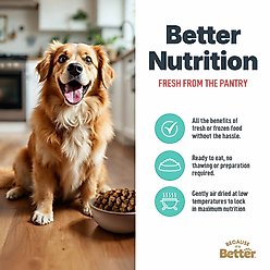 Because It's Better Real Salmon & Veggies Slow Baked & Air-Dried Dog Food, 1-lb bag slide 2 of 7