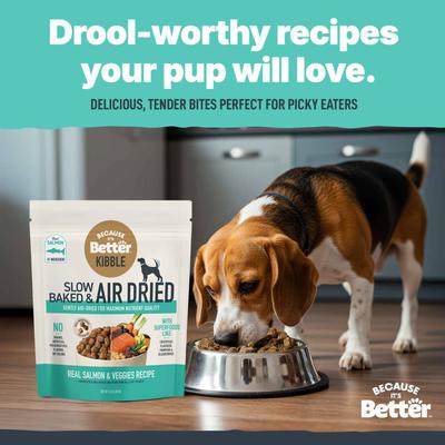 Show full view: Because It's Better Real Salmon & Veggies Slow Baked & Air-Dried Dog Food, 3-lb bag slide 6 of 9