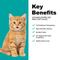 Show in main carousel: Pureluxe Elite Nutrition Chicken, Chickpeas & Salmon Grain-Free Kitten Dry Cat Food, 3.3-lb bag slide 5 of 11