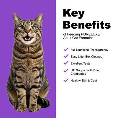 Show full view: Pureluxe Elite Nutrition Turkey Grain-Free Dry Cat Food, 3.3-lb bag slide 5 of 11