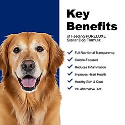 Pureluxe Elite Nutrition Stellar Low Protein & Fat Chicken, Trout & Eggs Dry Dog Food, 4-lb bag slide 2 of 8