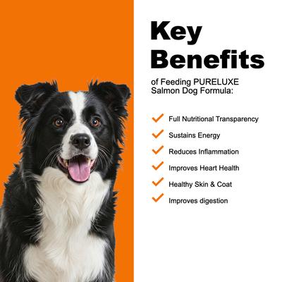 Show full view: Pureluxe Elite Nutrition Grain-Free Salmon & Sweet Potatoes Dry Dog Food, 22-lb bag slide 5 of 12