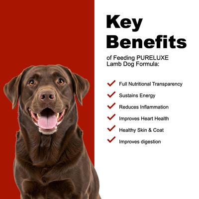 Show full view: Pureluxe Elite Nutrition Grain-Free Lamb & Chickpeas Dry Dog Food, 22-lb bag slide 5 of 12