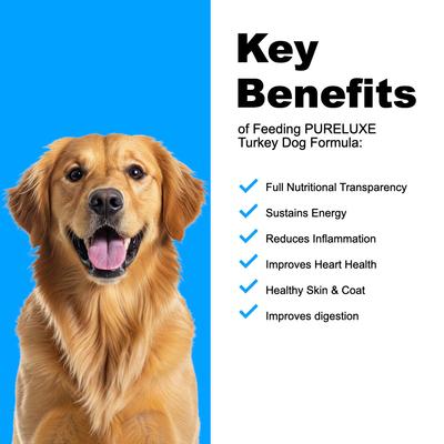 Show full view: Pureluxe Elite Nutrition Grain-Free Turkey Dry Dog Food, 11-lb bag slide 5 of 12