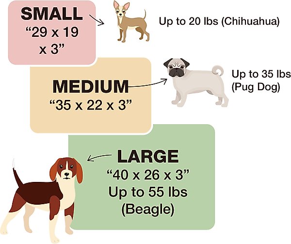 Show full view: Cozy Tails Premium Orthopedic Memory Foam Dog Bed, Beige, Small slide 6 of 7