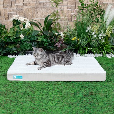 Cozy Tails Cozy Tails Premium Orthopedic Memory Foam Dog Bed, Beige, Small
