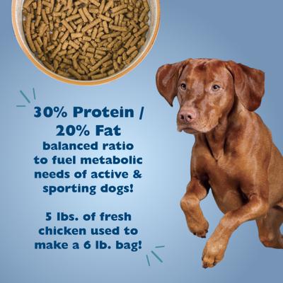 Show full view: Bil-Jac 30/20 Performance Dry Dog Food, 6-lb bag slide 4 of 12