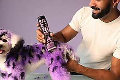 Andis Pulse ZR II 5-Speed Detachable Blade with Removable Lithium Ion Battery Dog Cordless Clipper Kit, Wild slide 2 of 7