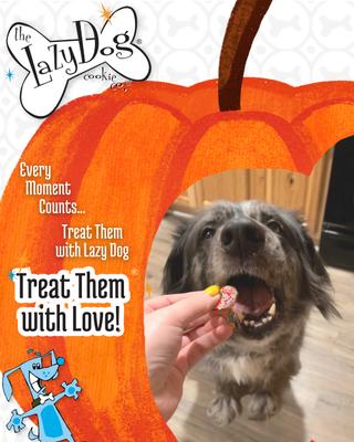 Show full view: The Lazy Dog Cookie Co. The Original Pup-PIE HomeStyle Pumpkin Dog Treat slide 6 of 6