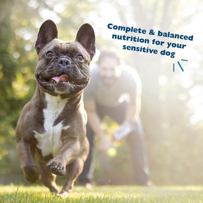 Show full view: Bil-Jac Sensitive Solutions Turkey & Pumpkin Wet Dog Food, 12.5-oz can, case of 12 slide 6 of 10