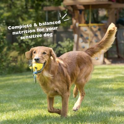 Show full view: Bil-Jac Sensitive Solutions Chicken & Sweet Potato Wet Dog Food, 12.5-oz can, case of 12 slide 6 of 10