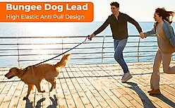 Yafylly Nylon Rope Dog Leash, Black, Small, 6-ft long, 1-in wide slide 2 of 9