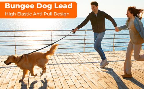 Show full view: Yafylly Nylon Rope Dog Leash, Black, Small, 6-ft long, 1-in wide slide 9 of 9