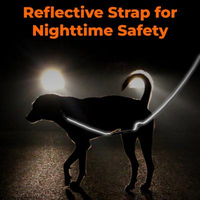 Show full view: Yafylly Nylon Rope Dog Leash, Black, Small, 6-ft long, 1-in wide slide 7 of 9