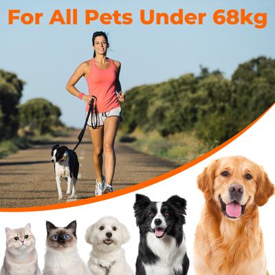 Show full view: Yafylly Nylon Rope Dog Leash, Black, Small, 6-ft long, 1-in wide slide 8 of 9