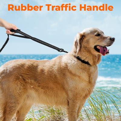 Show full view: Yafylly Nylon Rope Dog Leash, Black, Small, 6-ft long, 1-in wide slide 2 of 9