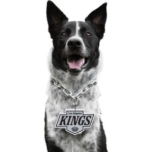 Littlearth NCAA Fan Chain for Dogs & Cats