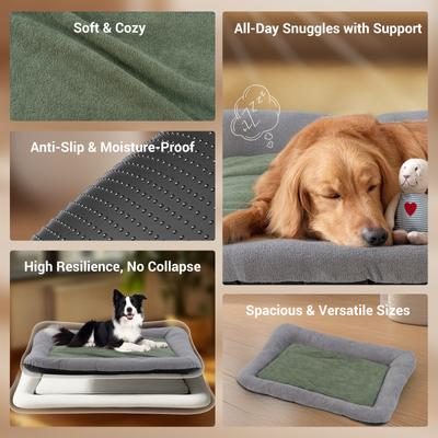 Show full view: Barpor 4D High-Density Orthopedic Bolster Dog & Cat Bed, Green, X-Large slide 8 of 10