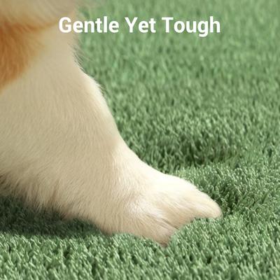 Show full view: Barpor 4D High-Density Orthopedic Bolster Dog & Cat Bed, Green, X-Large slide 6 of 10