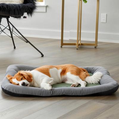 Show full view: Barpor 4D High-Density Orthopedic Bolster Dog & Cat Bed, Green, X-Large slide 2 of 10