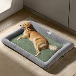 Barpor 4D High-Density Orthopedic Bolster Dog & Cat Bed, Green, X-Large