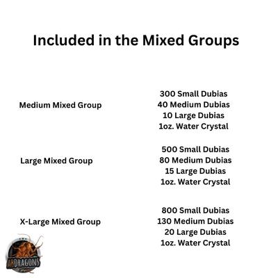 Show full view: ABDragons Live Dubia Roaches Mixed Mixe Sized Reptile Food, 350 count & 1-oz gel, Medium slide 3 of 8