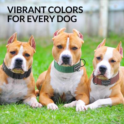 Show full view: CollarDirect Double-Layered Nylon Standard Dog Collar, Black, Large: 15 to 23-in neck, 1.5-in wide slide 6 of 7