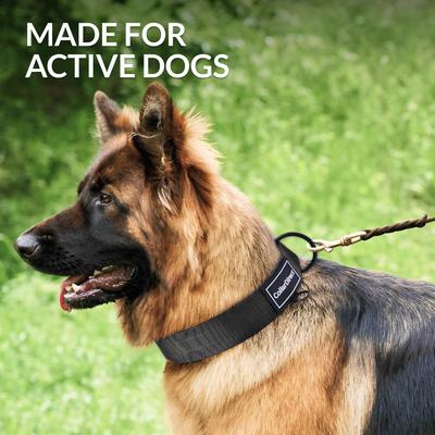 Show full view: CollarDirect Double-Layered Nylon Standard Dog Collar, Black, Large: 15 to 23-in neck, 1.5-in wide slide 2 of 7