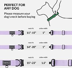 CollarDirect Double-Layered Nylon Standard Dog Collar, Lilac, Small: 11 to 15-in neck, 1-in wide slide 2 of 6