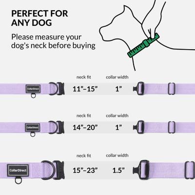 Show full view: CollarDirect Double-Layered Nylon Standard Dog Collar, Lilac, Large: 15 to 23-in neck, 1.5-in wide slide 5 of 7