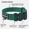 Show in main carousel: CollarDirect Double-Layered Nylon Standard Dog Collar, Green, Large: 15 to 23-in neck, 1.5-in wide slide 3 of 7