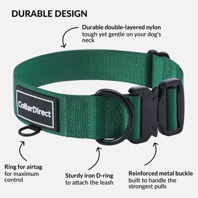 Show full view: CollarDirect Double-Layered Nylon Standard Dog Collar, Green, Large: 15 to 23-in neck, 1.5-in wide slide 3 of 7