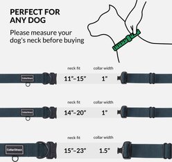 CollarDirect Double-Layered Nylon Standard Dog Collar, Dark Blue, Large: 15 to 23-in neck, 1.5-in wide slide 2 of 6