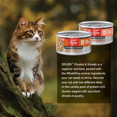 Show full view: ORIJEN Original Chunks & Shreds Variety Pack Salmon & Chicken Entrees Wet Cat Food, 3-oz can, case of 12 slide 7 of 10