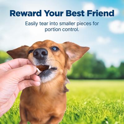 Show full view: Blue Buffalo Nudges Homestyle Chicken & Pork Dog Treats, 12-oz bag slide 5 of 10