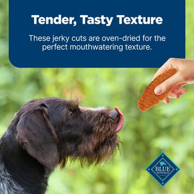 Show full view: Blue Buffalo Nudges Jerky Cuts Chicken & Duck Dog Treats, 16-oz bag slide 7 of 10