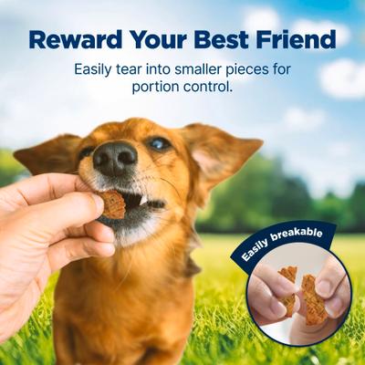 Show full view: Blue Buffalo Nudges Homestyle Real Chicken Dog Treats, 10-oz bag slide 5 of 11