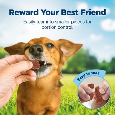 Show full view: Blue Buffalo Nudges Homestyle Chicken & Bacon Dog Treats, 16-oz bag slide 5 of 10