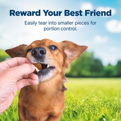 Show full view: Blue Buffalo Nudges Homestyle Beef & Rice Natural Dog Treats, 16-oz bag, bundle of 2 slide 5 of 11