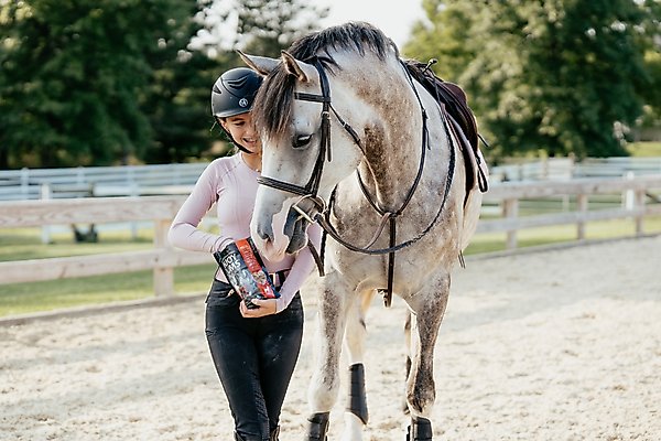 Show full view: Enjoy Yums Apple Flavor Horse Treats, 1-lb bag slide 3 of 4
