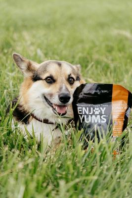 Show full view: Enjoy Yums Carrot Flavor Dog Treats, 1-lb bag slide 4 of 6