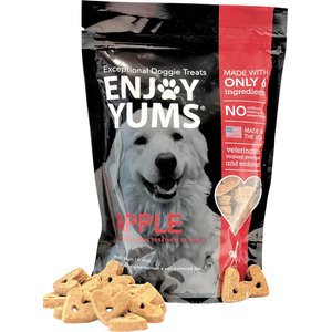 Enjoy Yums Apple Flavor Dog Treats, 1-lb bag